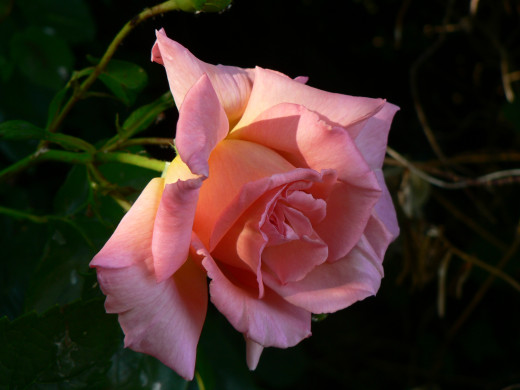 852649 (a): :2560x1920